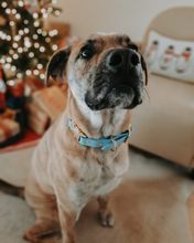 Load image into Gallery viewer, Quick Release Adjustable Biothane Collar 3/4"