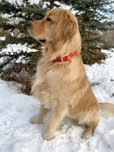 Load image into Gallery viewer, Quick Release Adjustable Biothane Collar 3/4"