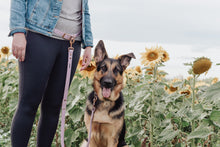 Load image into Gallery viewer, Convertible Hands-Free Biothane Leash