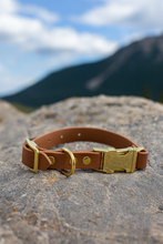Load image into Gallery viewer, Quick Release Adjustable Biothane Collar 1&quot;
