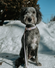 Load image into Gallery viewer, Quick Release Adjustable Biothane Collar 1&quot;
